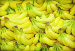 香蕉网视频,揭秘生活百态，带你领略人间烟火